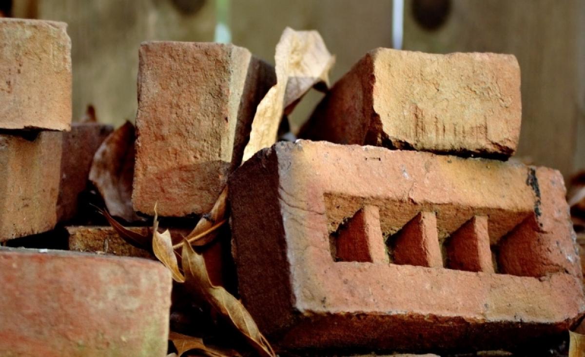 Житель Саратовской области убил кирпичом нового знакомого за знаки внимания