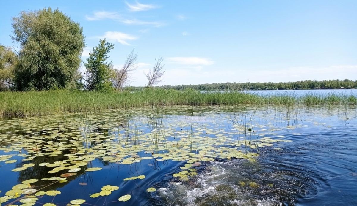 В Саратовской области браконьеры нанесли природе многомиллионный ущерб