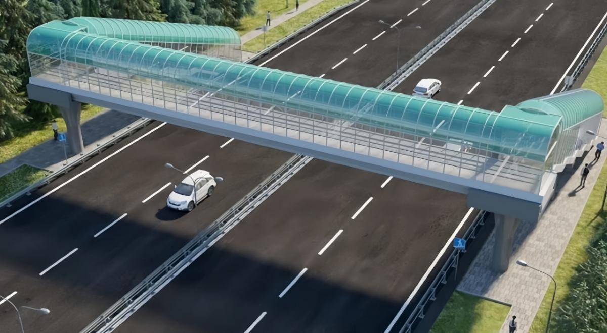 В Энгельсе потратят 5 млн рублей на проект пешеходного перехода