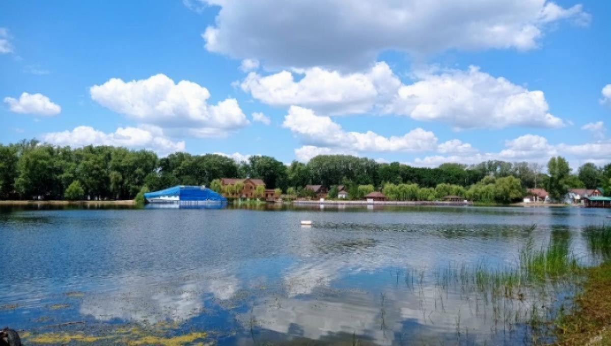 На волжском острове у Энгельса продают действующую лодочную станцию за 12,5 млн