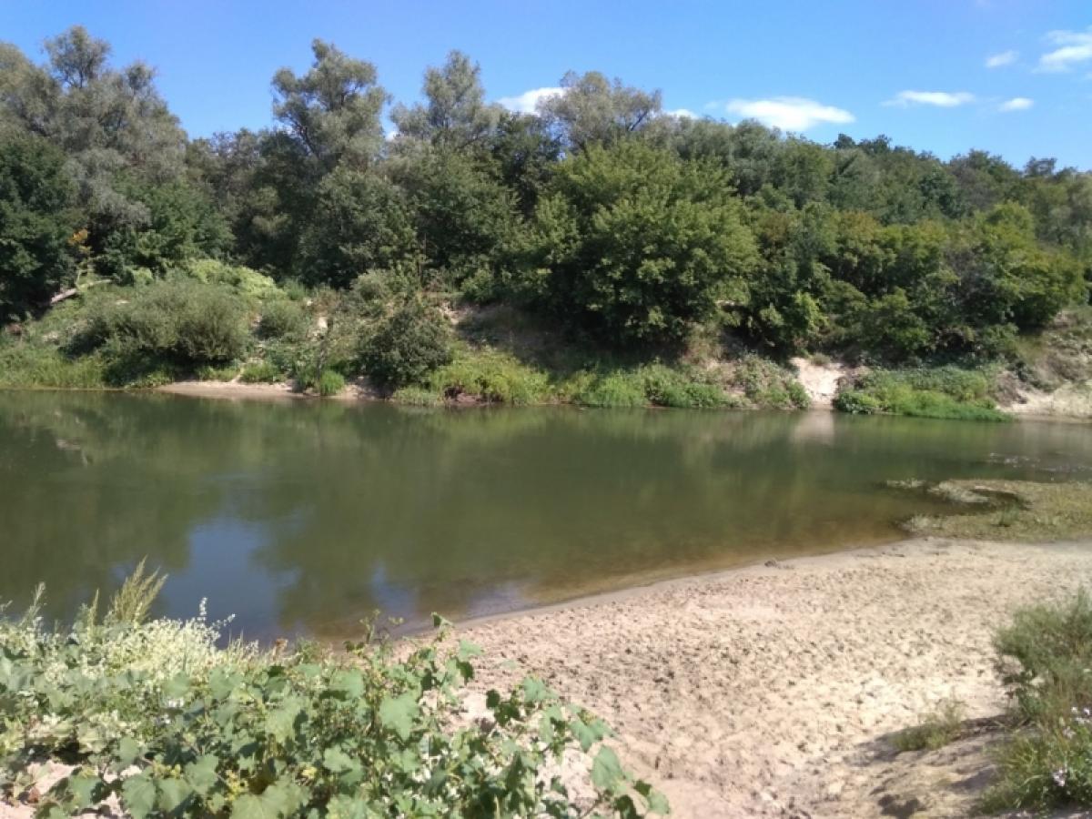 Вслед за Радаевым ведомство Бородянской предлагает провести отпуск на Волге