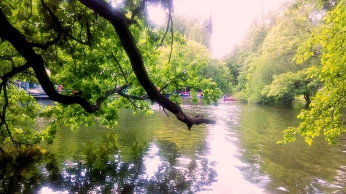 Из пруда Городского парка Саратова вывезли 1600 тонн иловых отложений и мусора