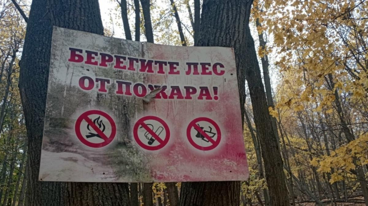 Жителям Саратовской области назвали дату начала пожароопасного сезона в регионе