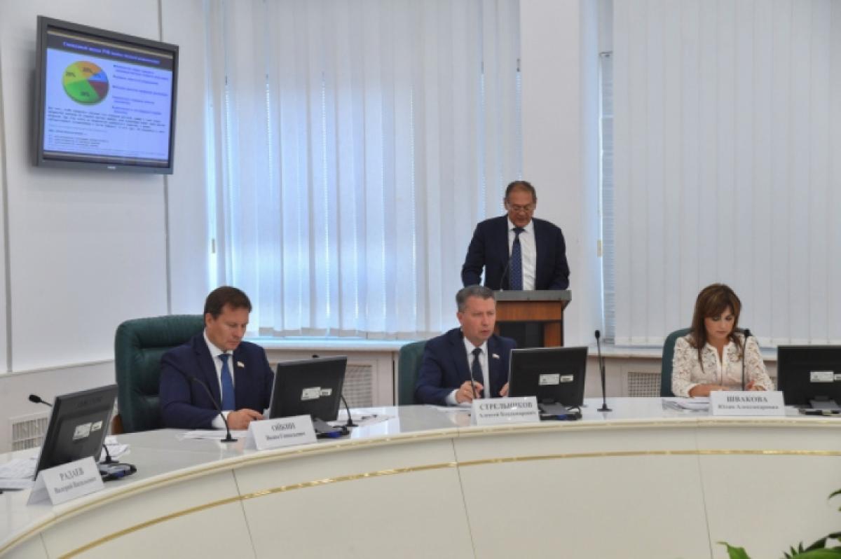 Радаев – Стрелюхину: «Нужно пробудить деловую активность частного бизнеса!»