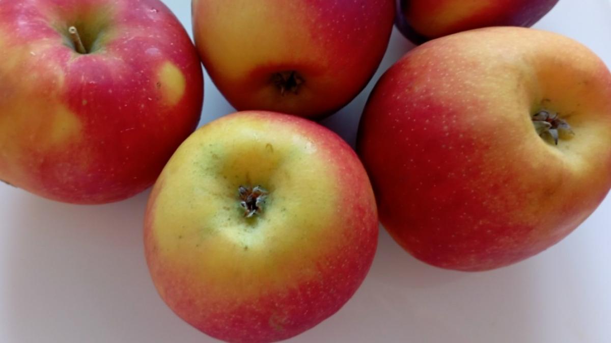 Саратовские «лапти» с яблоками признаны этнокультурным достоянием