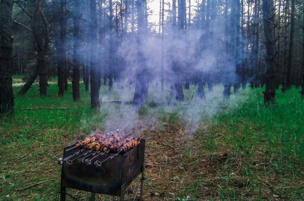 Отдых с шашлыком в лесу может грозить саратовцам штрафом в 5 тысяч рублей