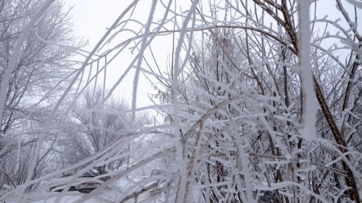 Занятия из-за аномальных морозов снова отменили в районе Саратовской области