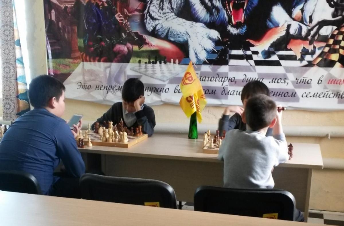 Депутат Самсонова подарила мебель алгайскому шахматному клубу 