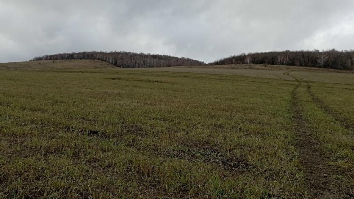 У Петровска произошло крушение легкомоторного самолета: организована проверка