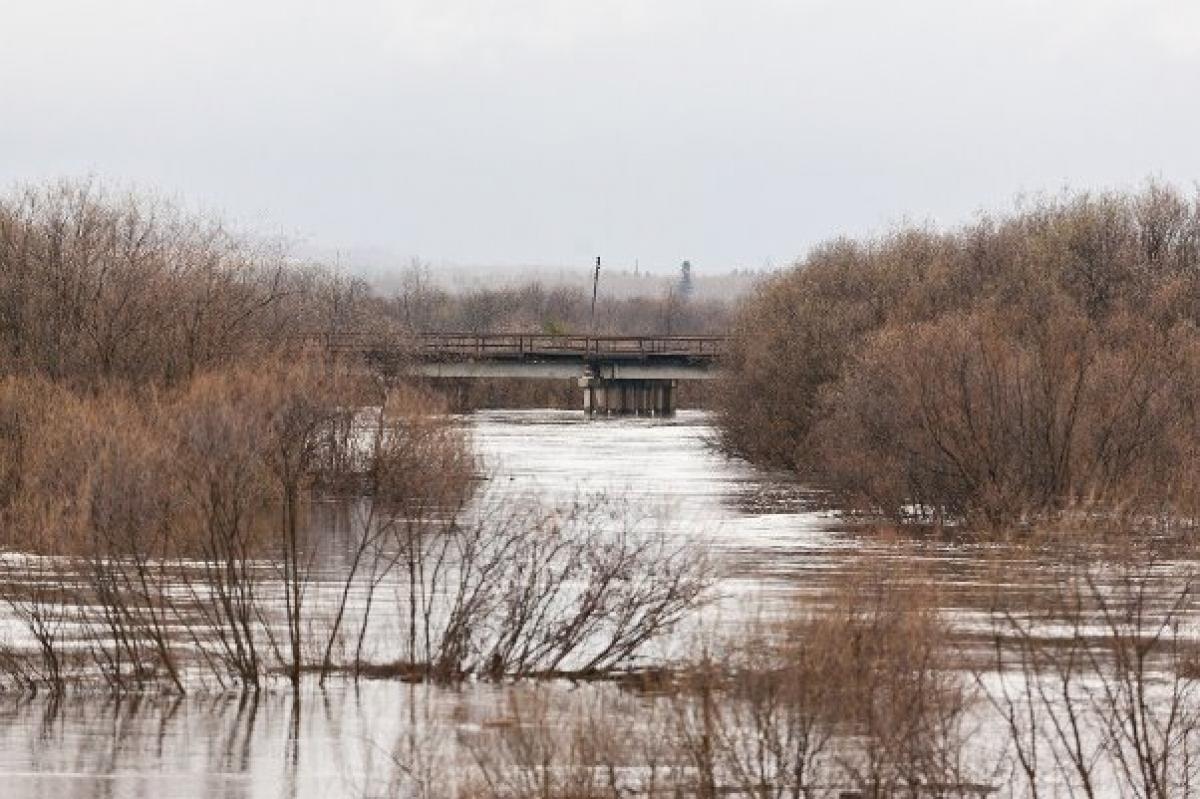 Паводок в Саратовской области: закрыто движение транспорта по трем мостам