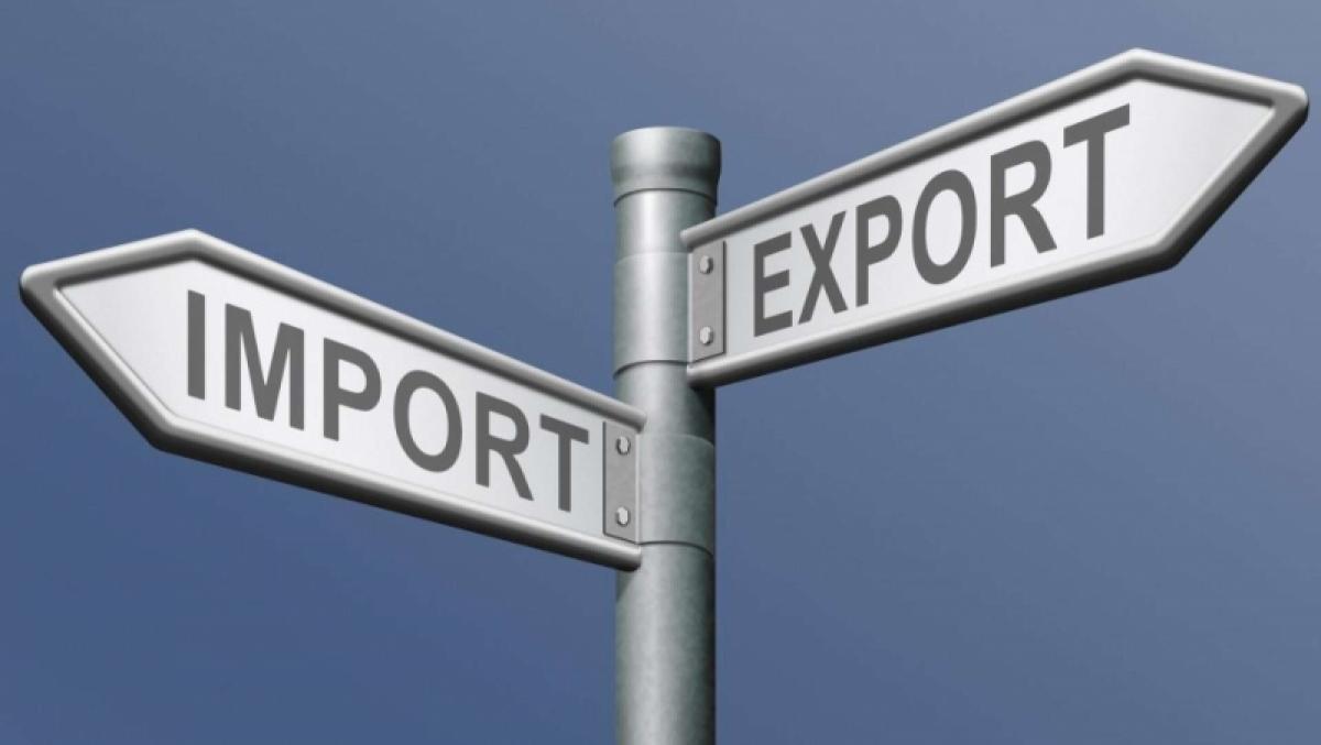 Саратовская каучуковая область: планы региона по увеличению объемов экспорта