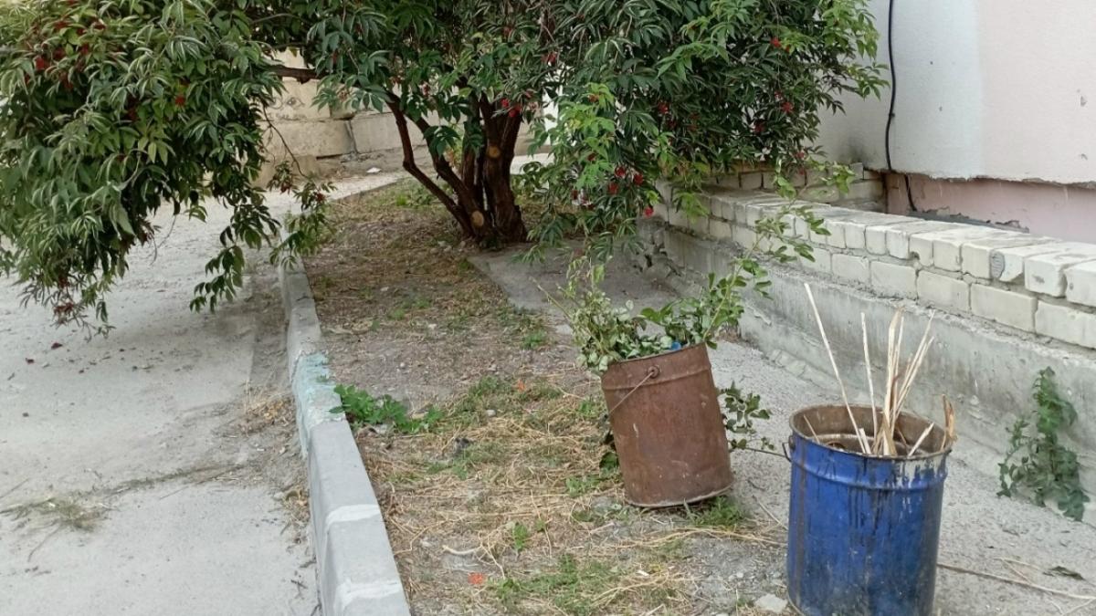 В Саратовской области начинаются субботники и мониторинг аварийности трасс