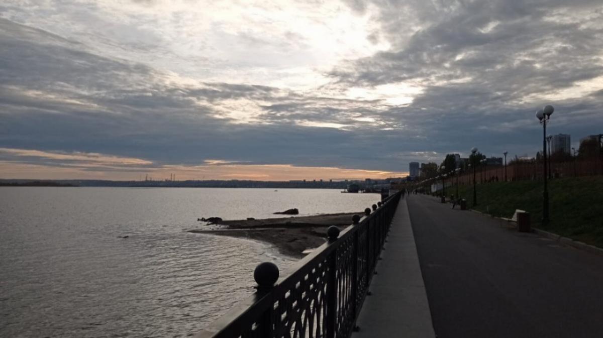 В Саратове разработали новую плату 1T Rex Board для обучения и робототехники