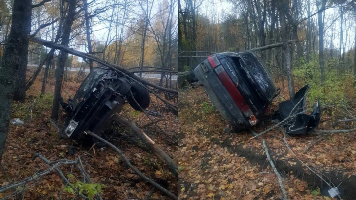 В Вольском районе погиб водитель перевернувшейся «двенадцатой»