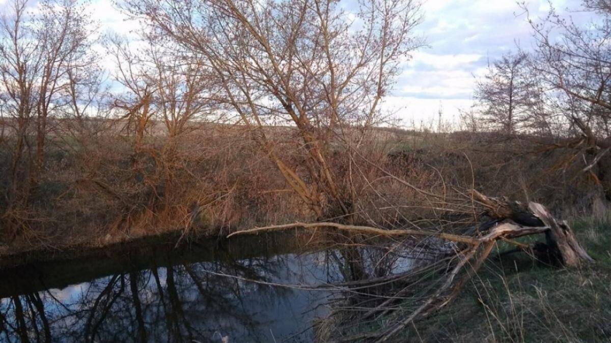 Из-за паводка в Саратовской области закрыли 7 мостов и дорог