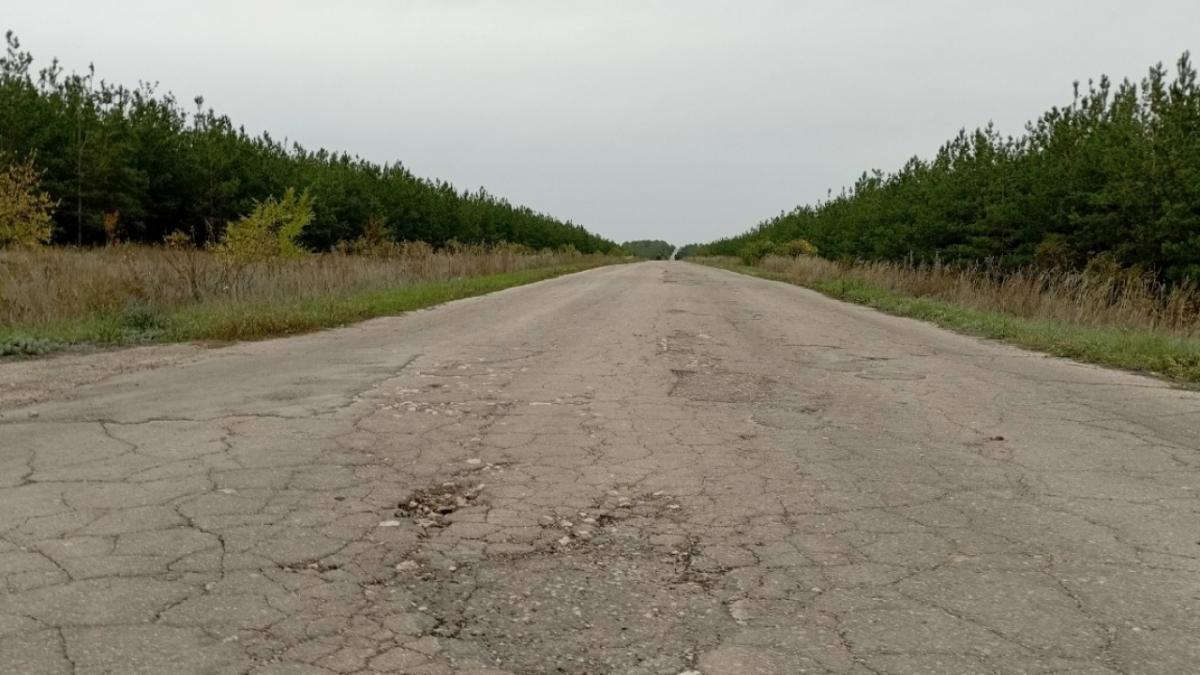 Саратовский регион арендует 100 дорожных камер за 1,37 миллиарда рублей