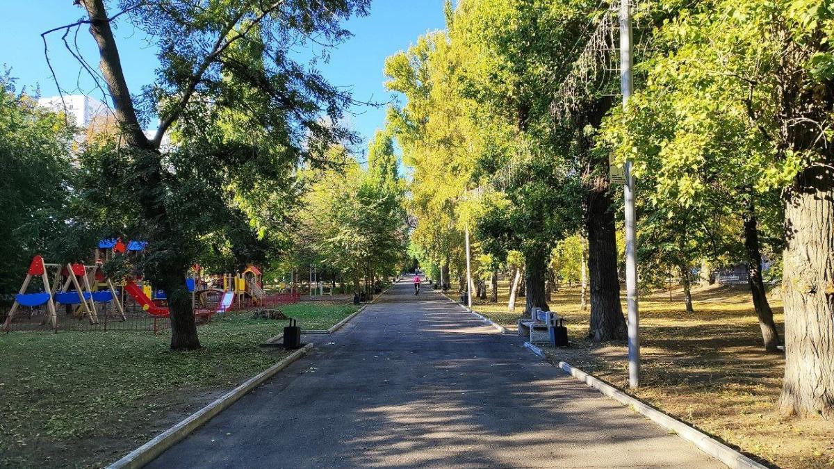 Эколог предупредила саратовцев о проснувшейся опасной черной гадюке Никольского