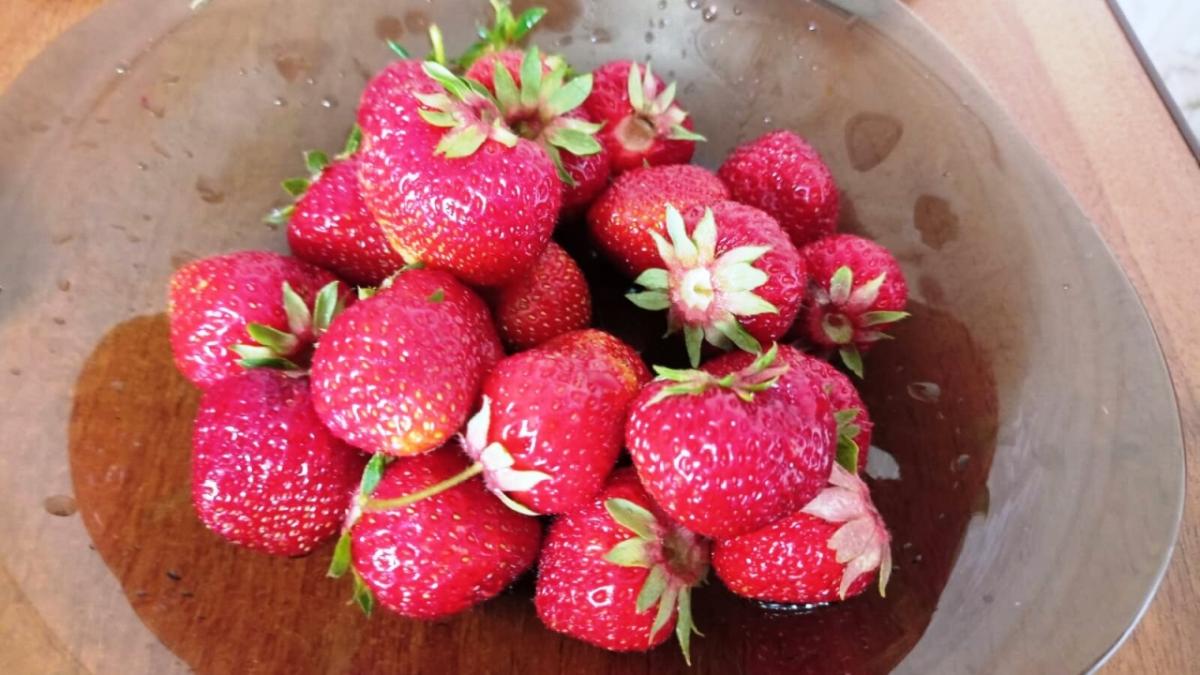 Саратовцев позвали на фестиваль клубники в Балаково