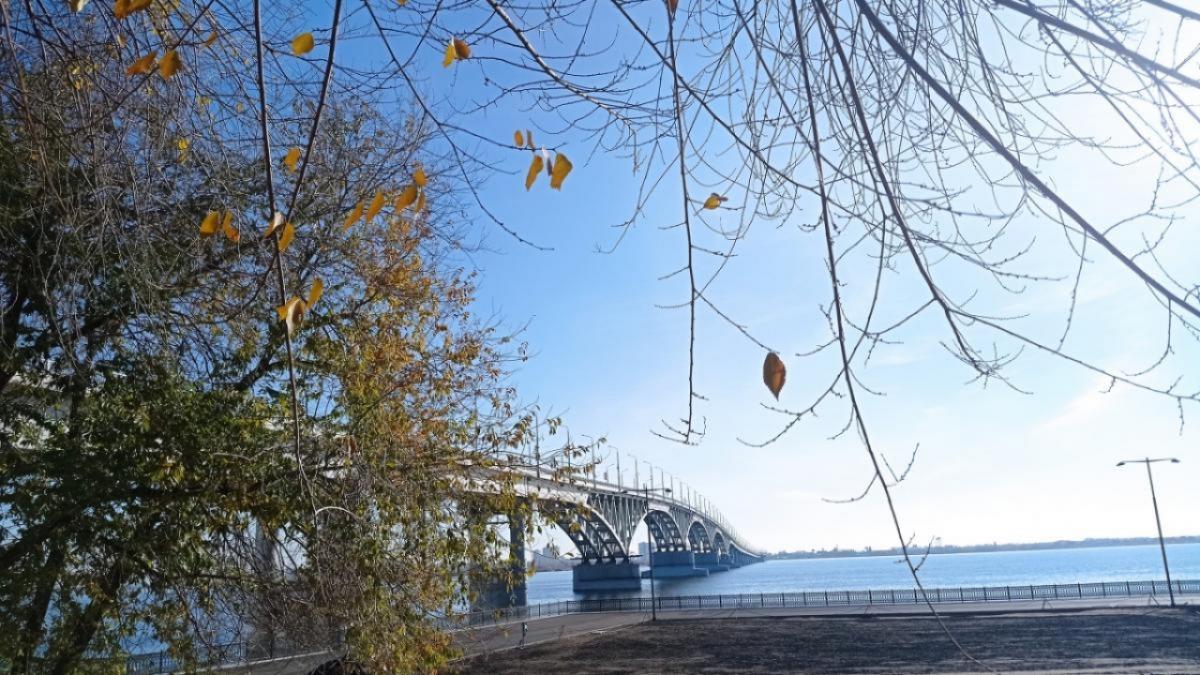 В Саратовской области молодым людям с инвалидностью помогут найти работу