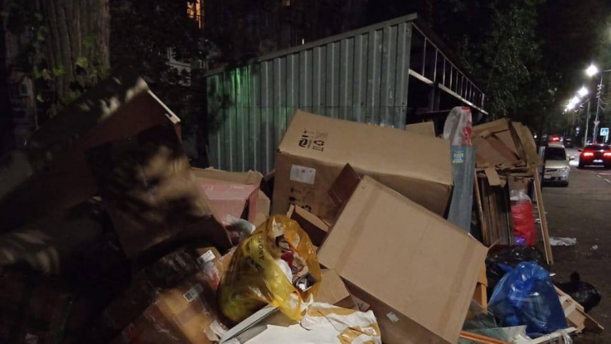 В Саратове Алимова пришла в ужас от работы «Ситиматика» по вывозу мусора