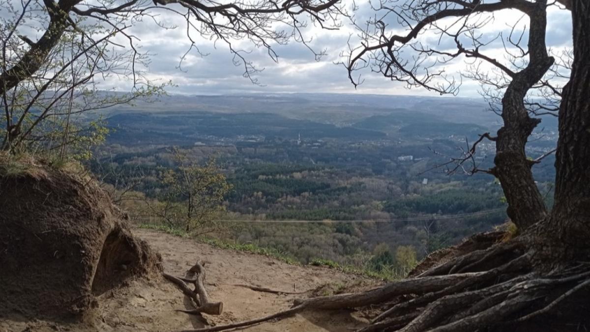 В Саратове Ботанический сад готовят к открытию в воскресенье
