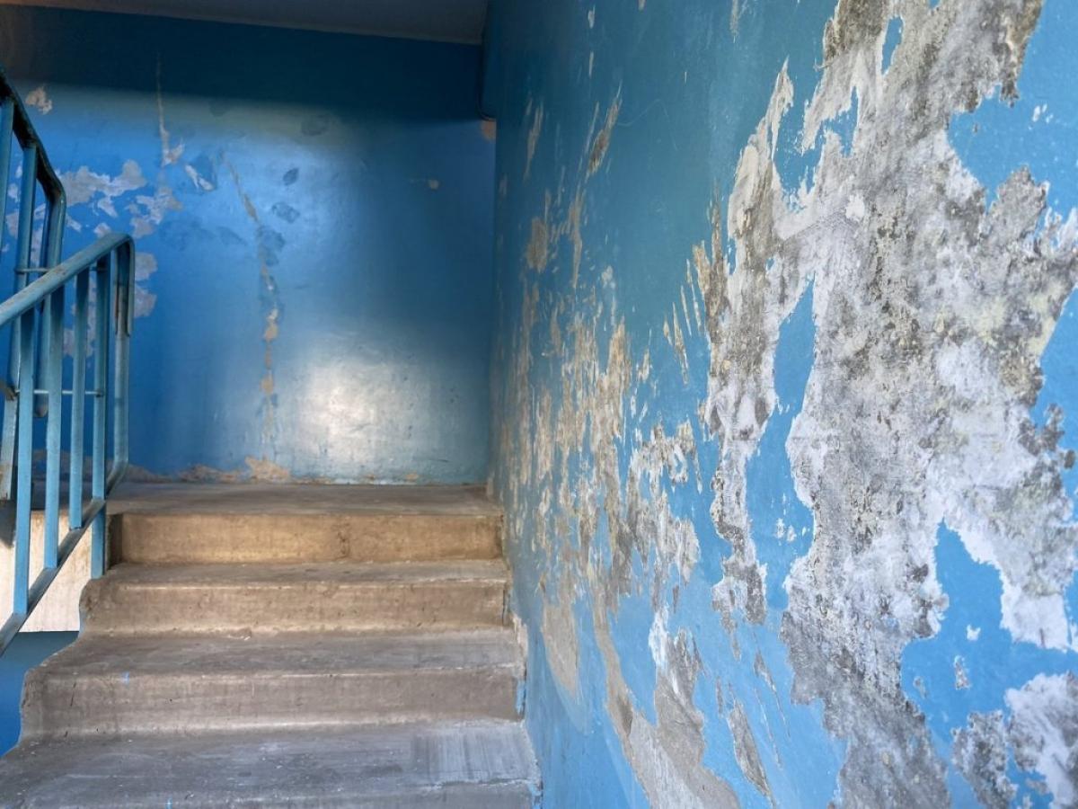 Следователи проверяют сообщение о ночующих в подъезде  малолетних братьях, которых выгнала мать