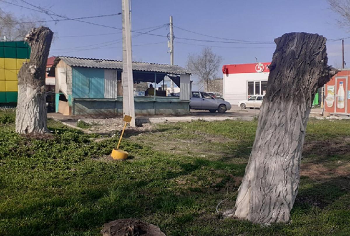 Жители Вольска предложили переименовать город в Пеньковск