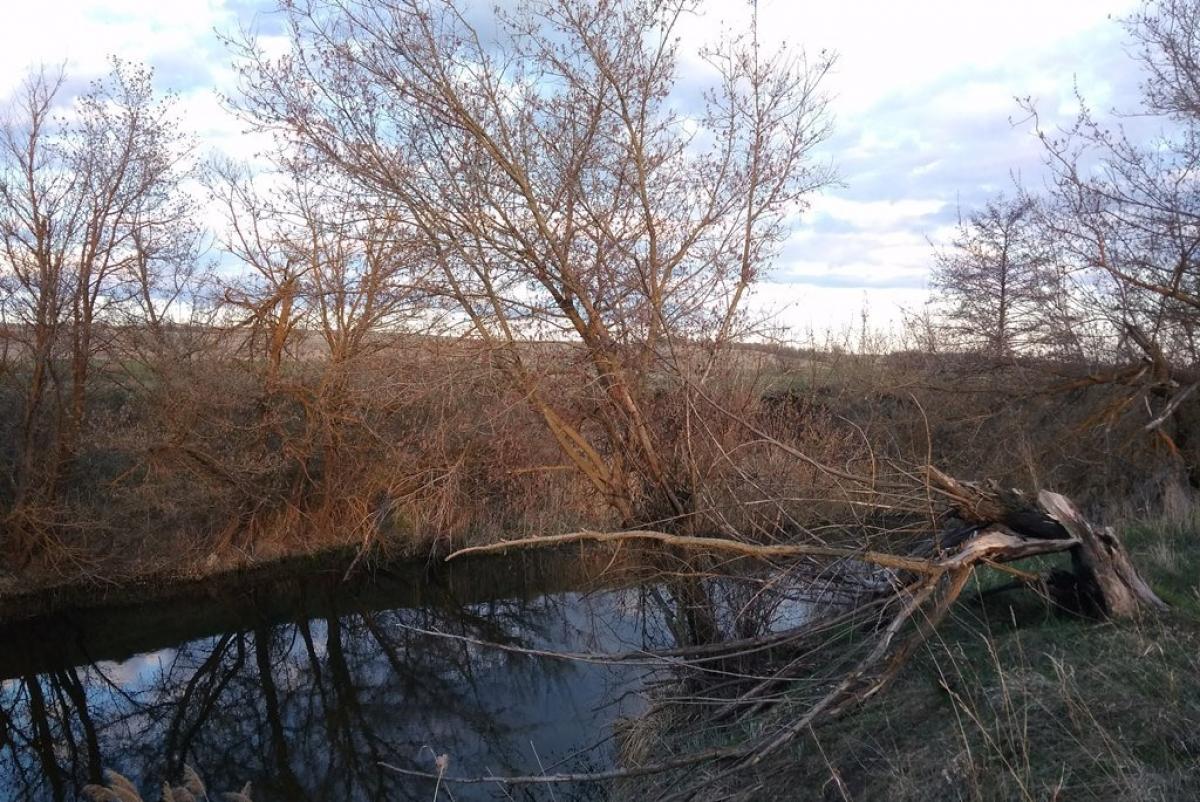 В Лысогорском районе из-за паводка закрыто движение через три моста