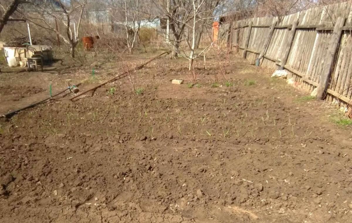 Дачные автобусы будут ходить в зависимости от пассажиропотока