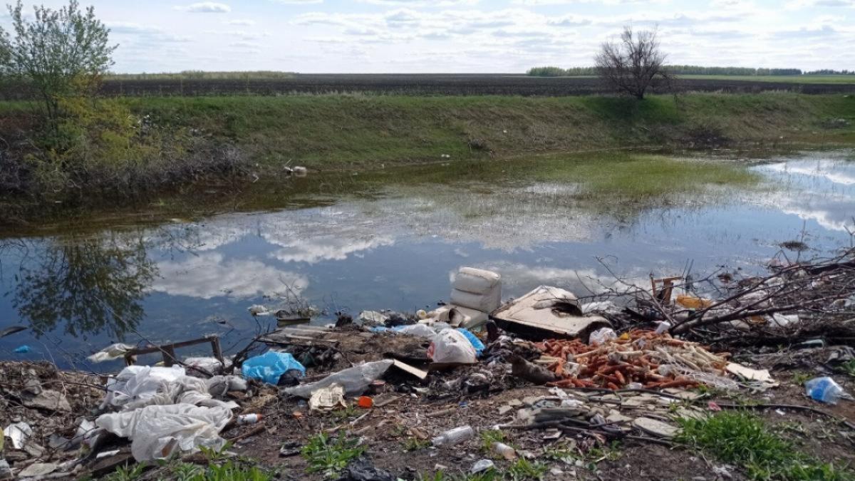 В Саратовской области вместо 65 свалок появятся зеленые зоны
