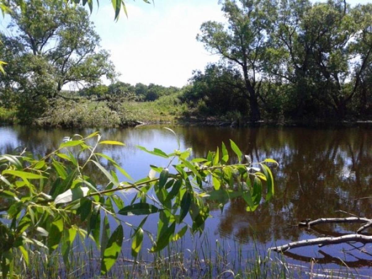 В Саратовской области сняты все ограничения на туристические поездки