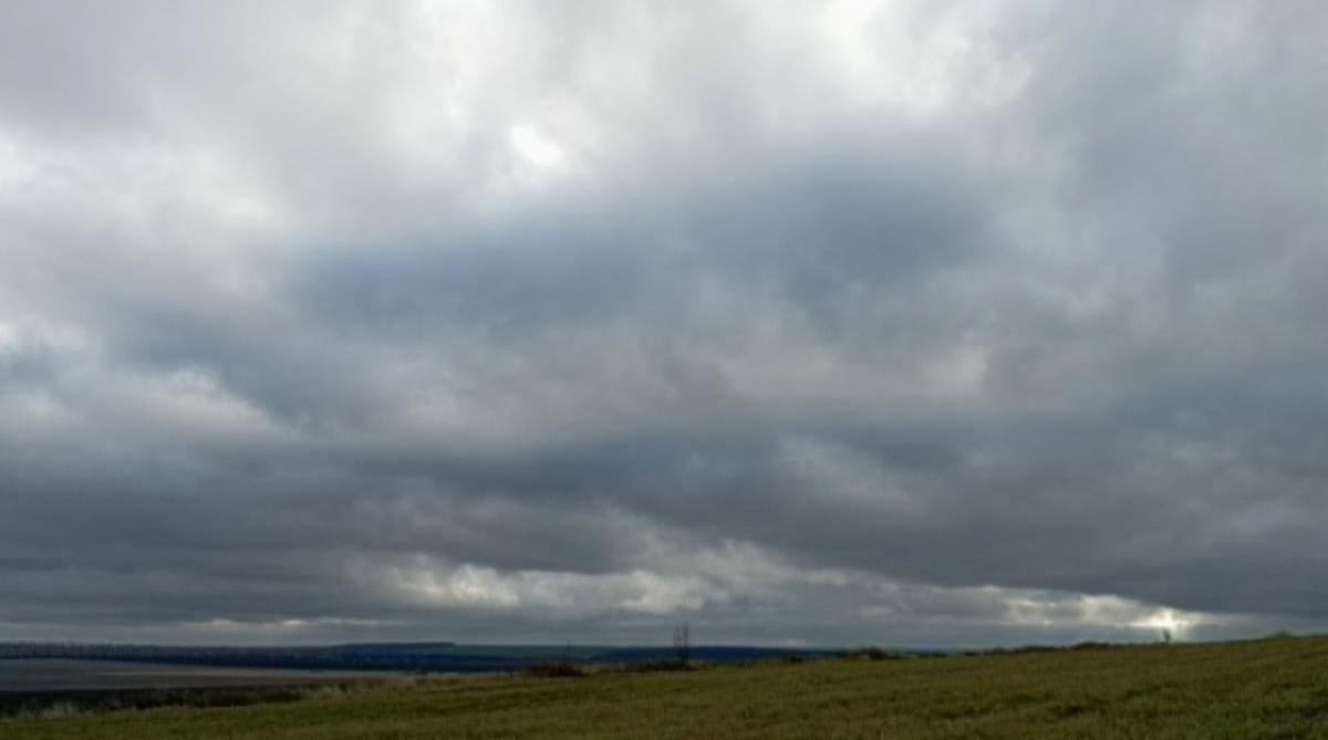 Эксперты прогнозируют нашествие саранчи в Саратовской области весной и летом