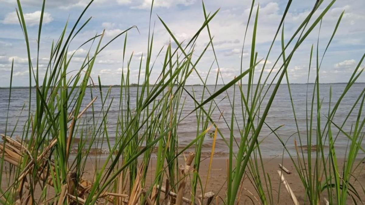 Трагедия под Энгельсом: мужчина вытащил из Волги 39-летнего родственника