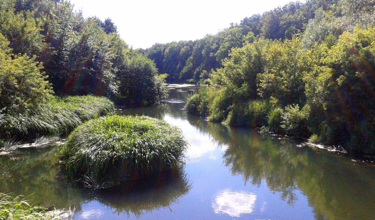 Минприроды высказалось о расчистке Медведицы и строительстве ГЭС