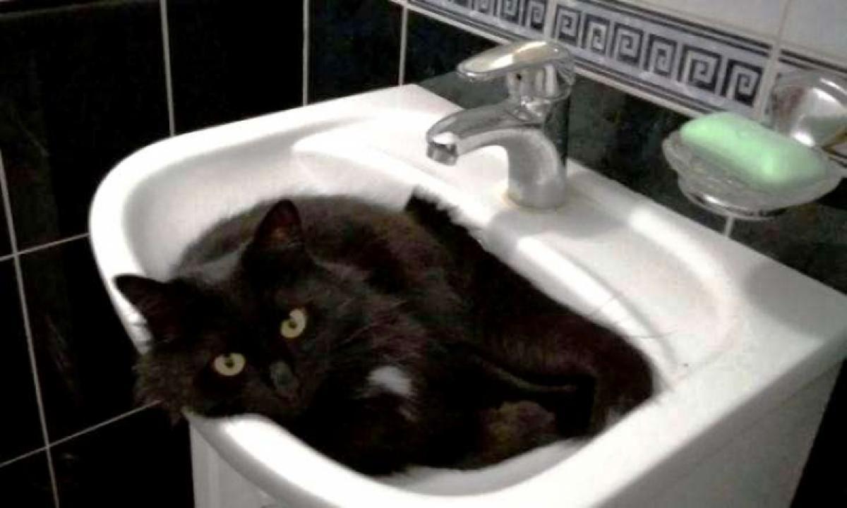 Масштабное отключение воды в Саратове – названы адреса подвоза воды