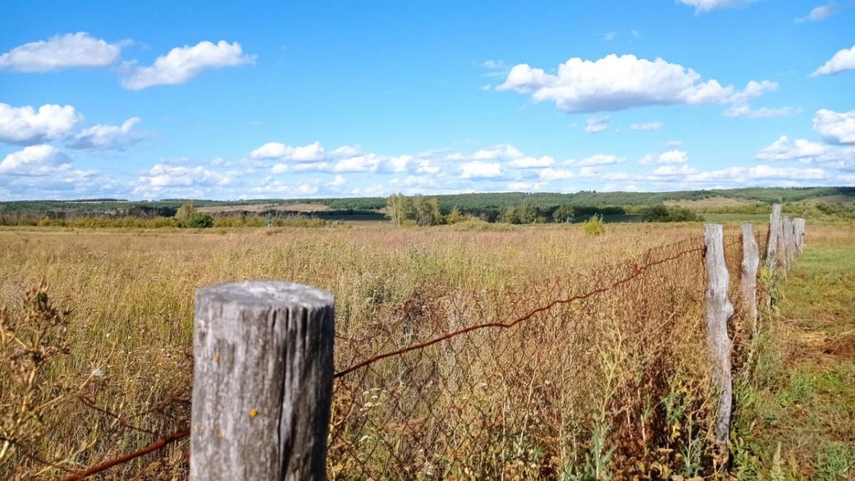 Прокуратура проверит распределение жилья по госпрограмме в саратовских селах