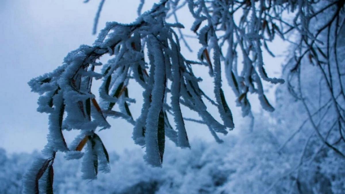 Гидрометцентр: заморозки ожидаются ночью в Саратовской области