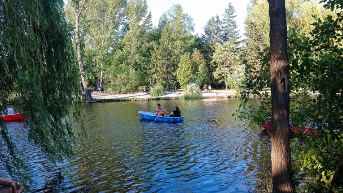 В горпарке Саратова установят дизайнерские торшерные фонари
