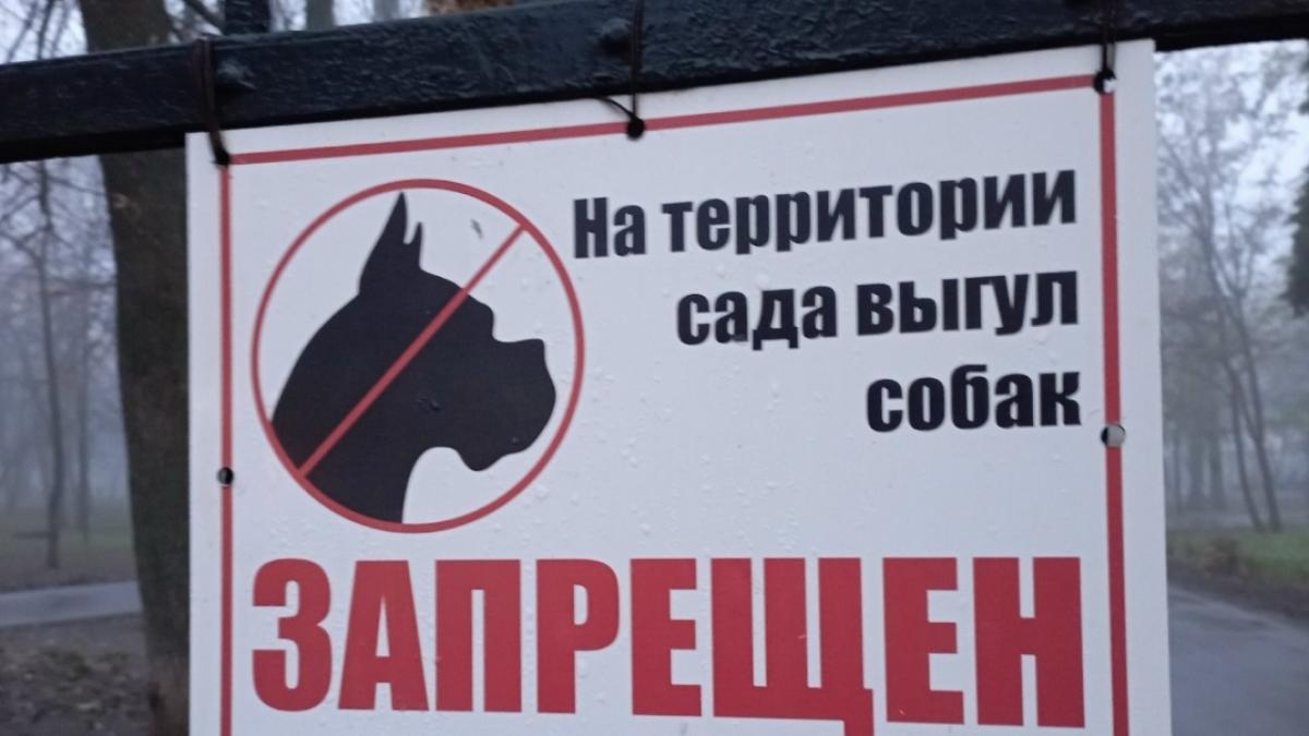 В Петровске осудили пенсионерку за нападение собаки на 7-летнего ребенка