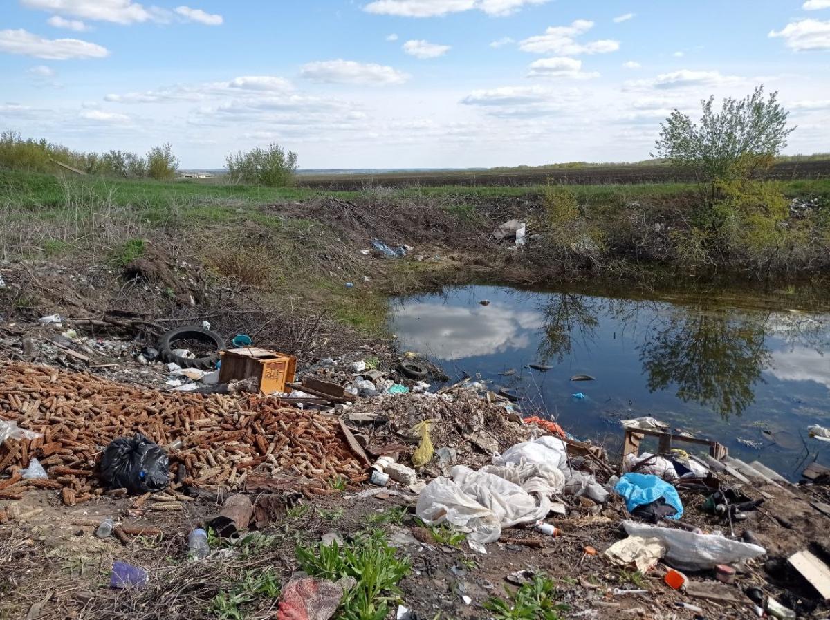 37 гектаров в Саратовской области захламлены отходами сельхозугодий 