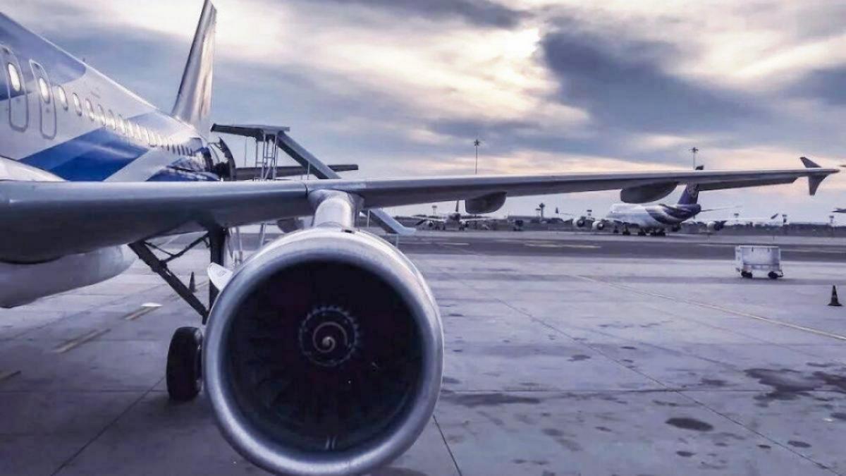 В Иркутске пассажирский самолет столкнулся со стаей птиц при разбеге