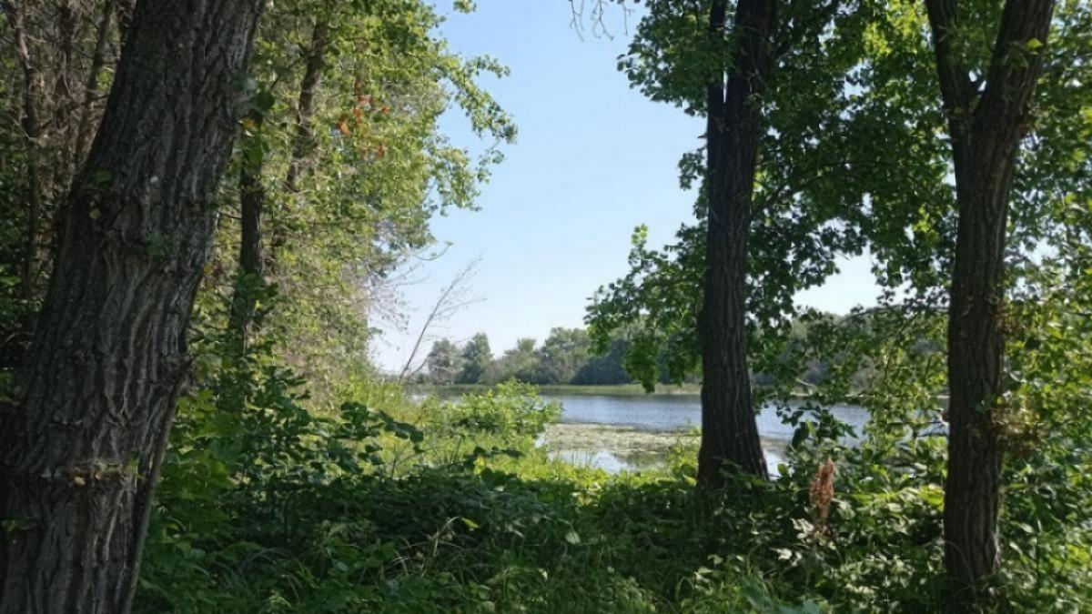 В Саратовской области инспекторы выявили свыше 200 нарушений правил охоты