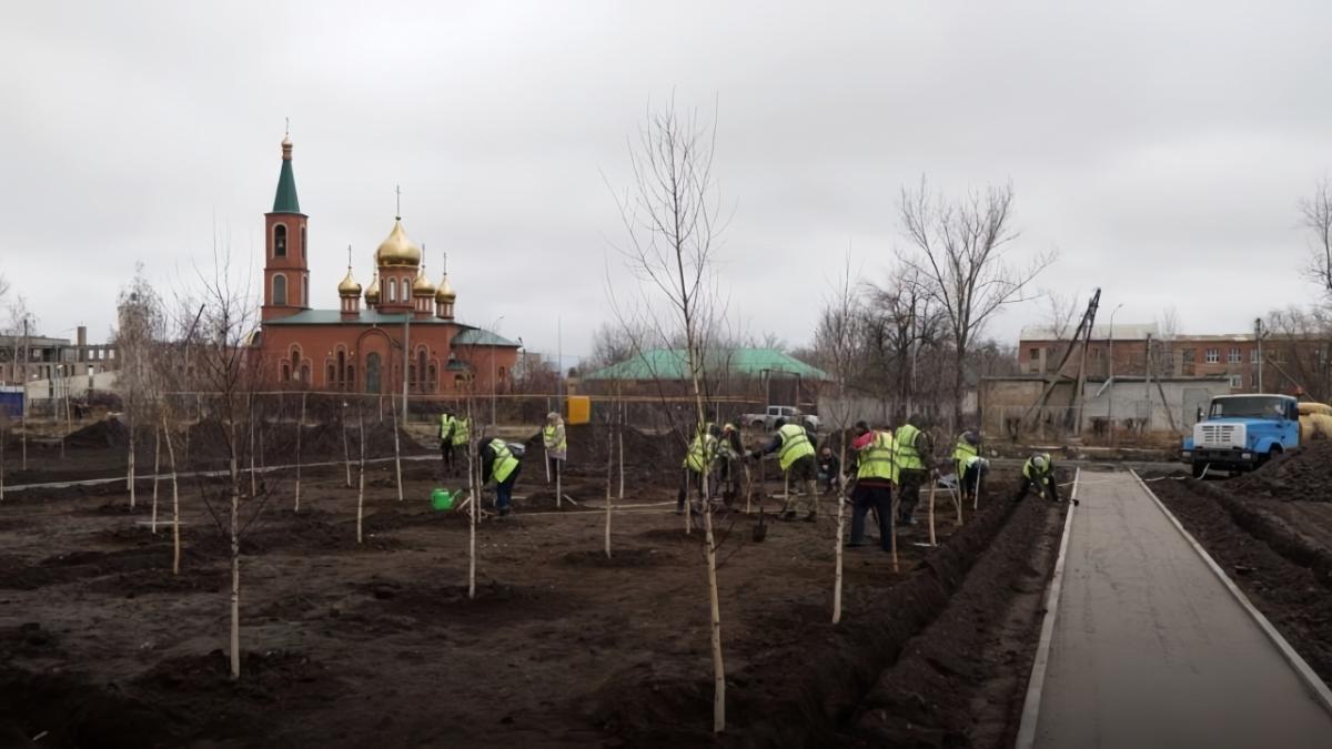 В Летном городке Энгельса обустроят экопарк в честь летчиков-героев 