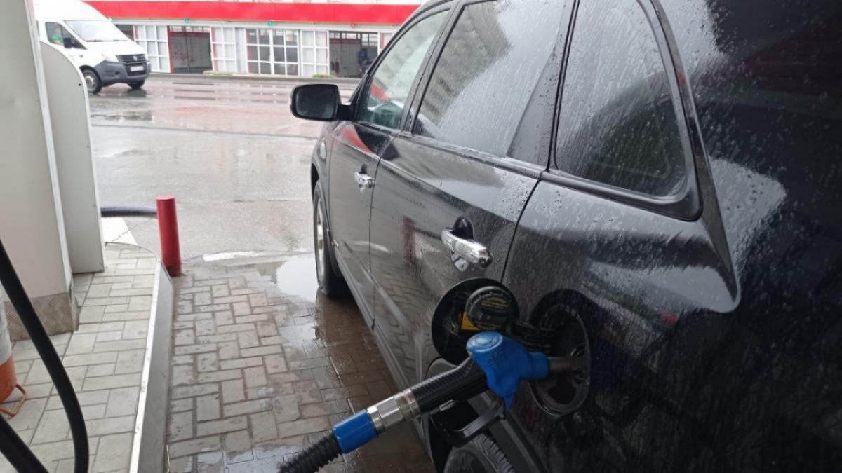 В Саратовской области за месяц выросли цены на все виды топлива