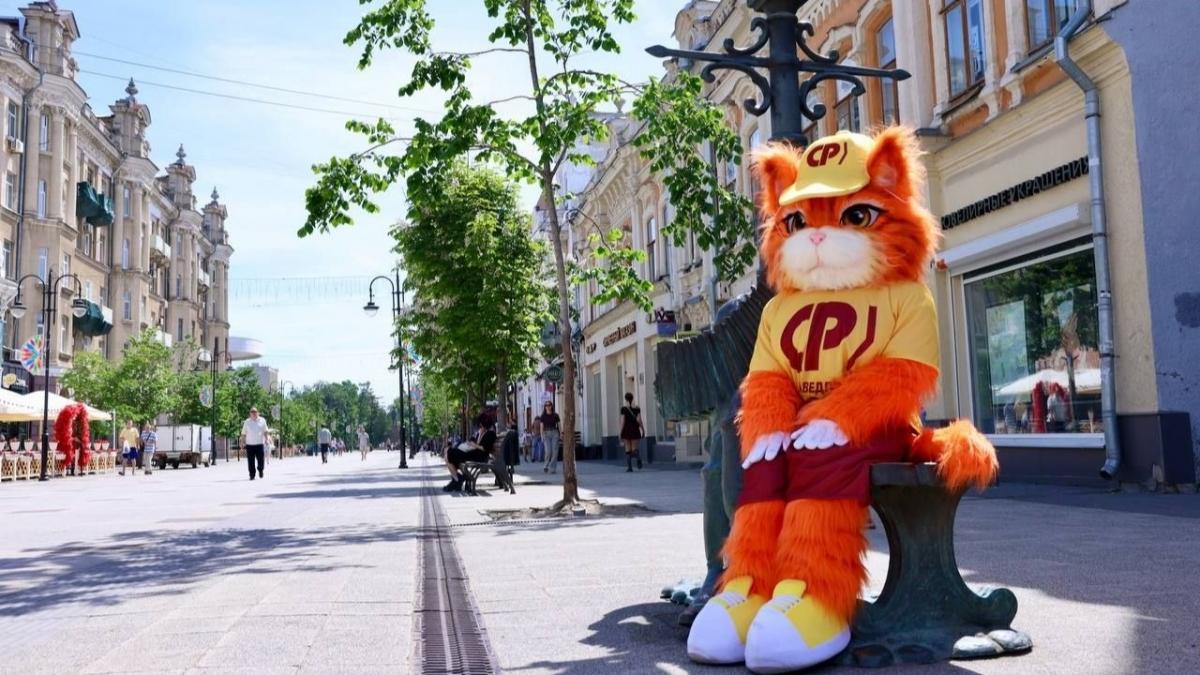 Саратовцев удивил раздававший газеты СПРАВЕДЛИВОЙ РОССИИ пушистый кот Правдик