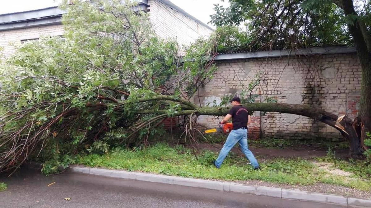 На Саратовскую область обрушился ураганный ветер с грозой и градом