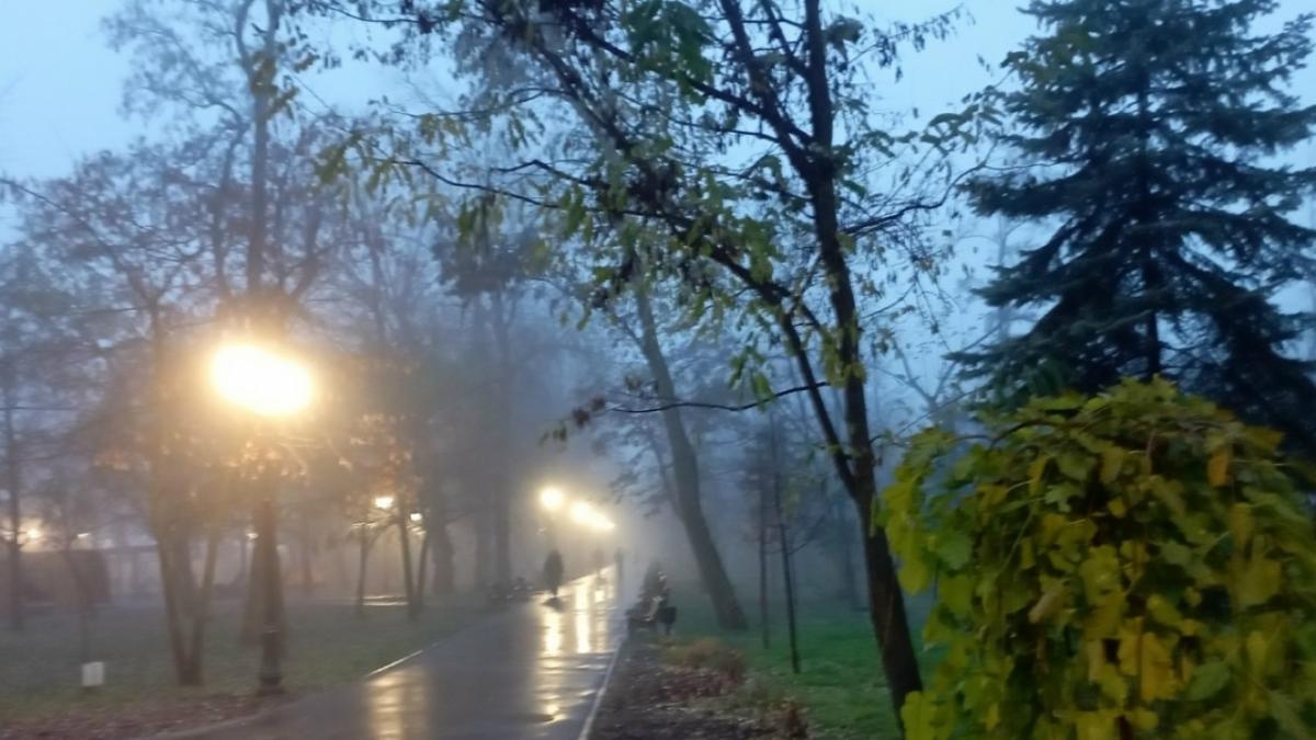 Порывы ветра до 18 м/с: в Саратове из-за непогоды закрыли парки и сад «Липки»