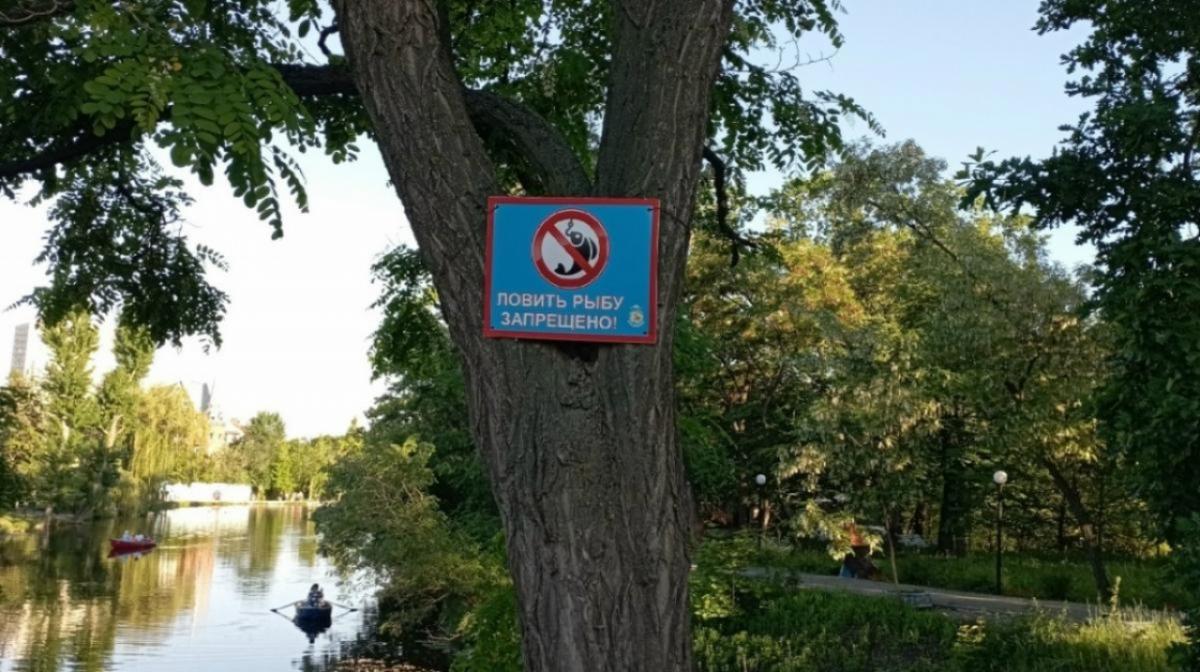 Парки, скверы: началось онлайн-голосование за объекты благоустройства в Саратове