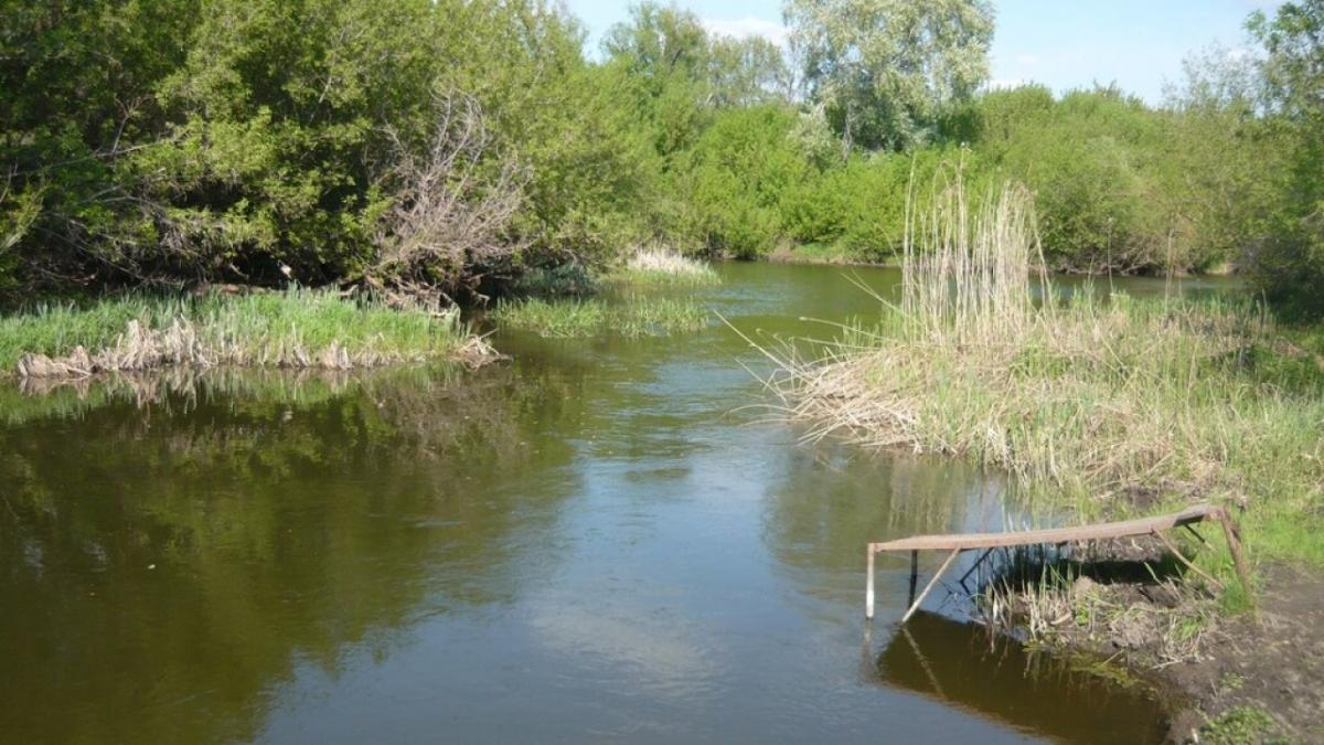 В Саратовской области 12 тысяч человек могут пострадать от паводка