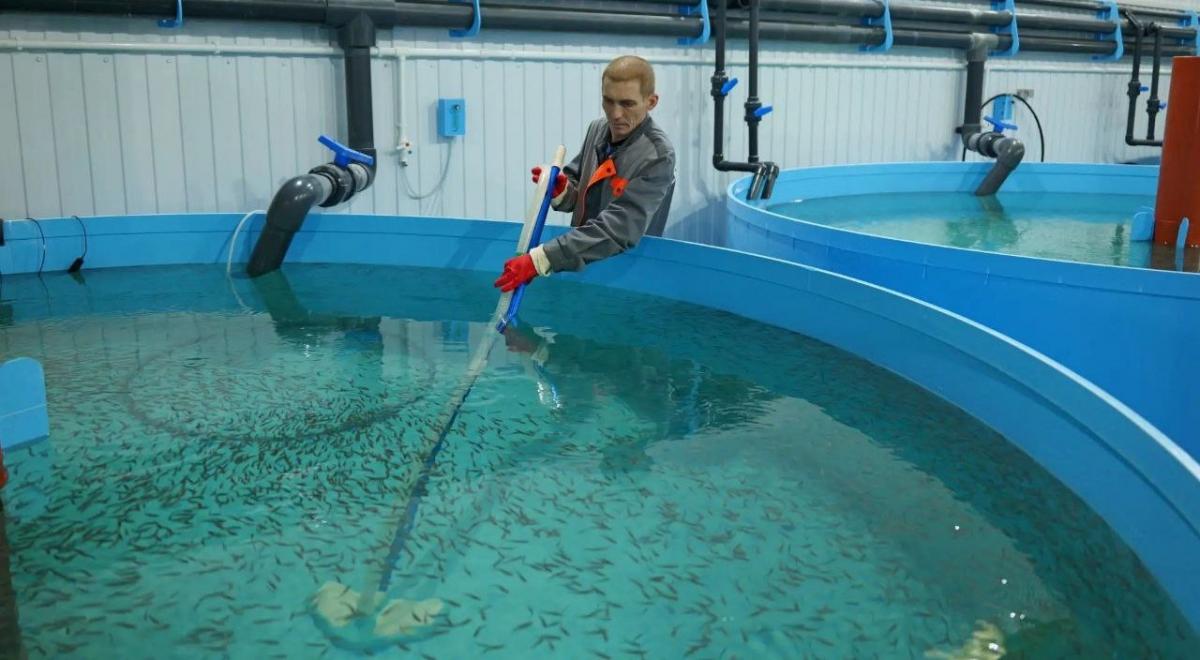 На Театральной площади Саратова начали продавать форель из местных бассейнов